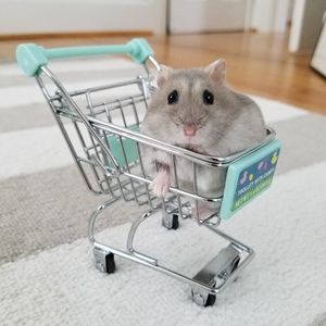 Meet your Posher, Sky